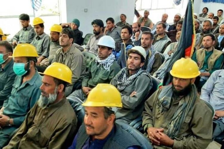 Taliban 131 bin üyeli sendikaya kilit vurdu!