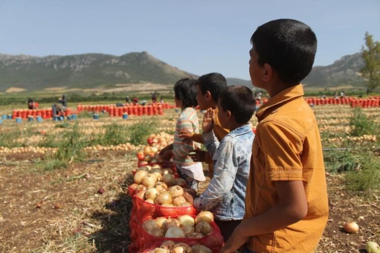 Pandeminin görünmeyenleri: Çocuk işçiler