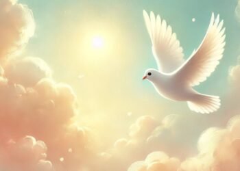 çocuğun gördüğü düştür barış