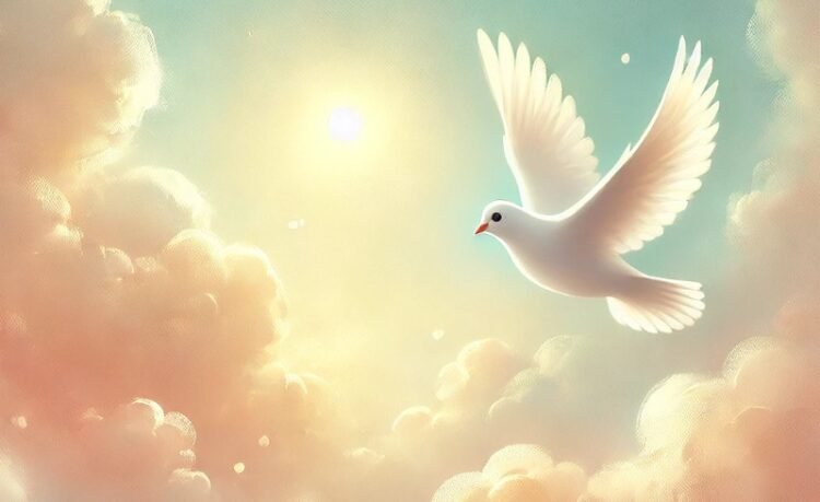 çocuğun gördüğü düştür barış