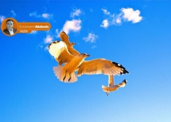 martilar-ercument-akdeniz