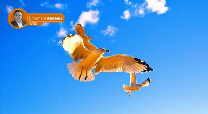 martilar-ercument-akdeniz